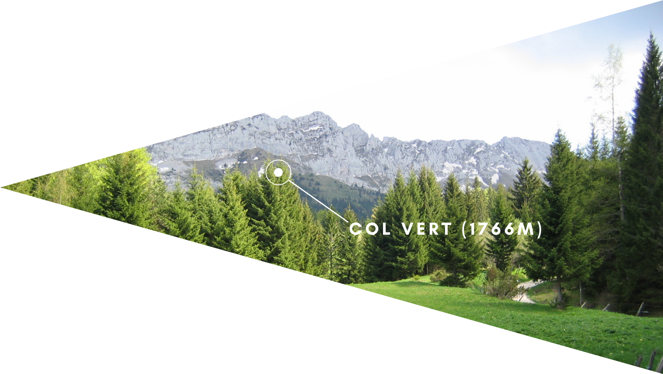 col-vert